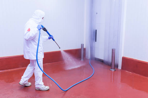Best Rust Removal  in Maroa, IL